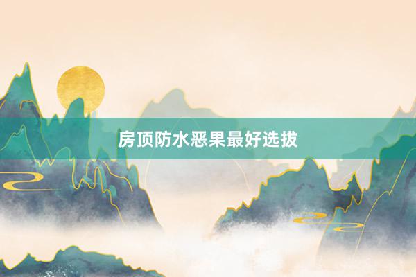 房顶防水恶果最好选拔