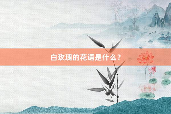 白玫瑰的花语是什么？